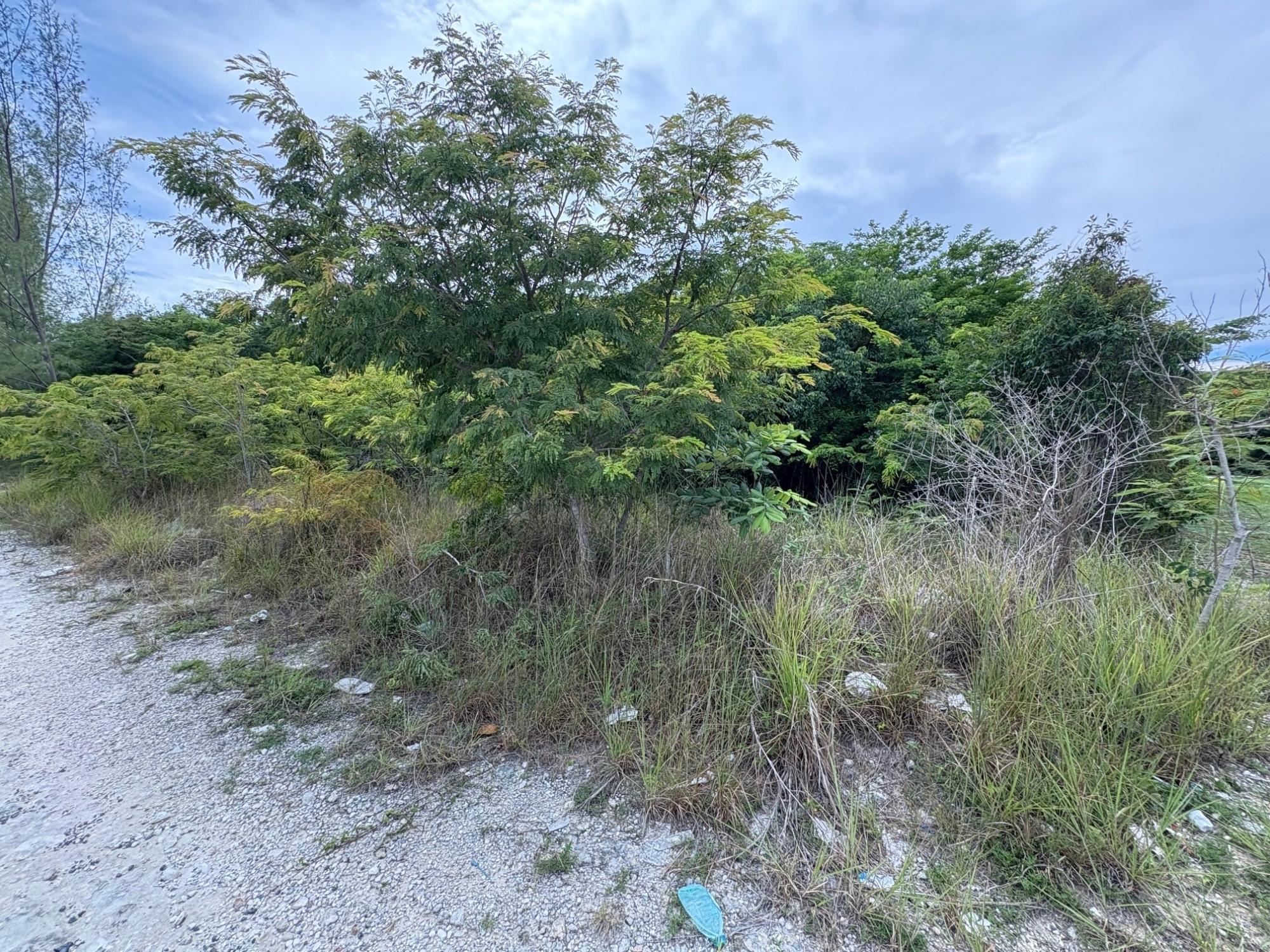 LOT 21 BLACKBEARD TERRACE