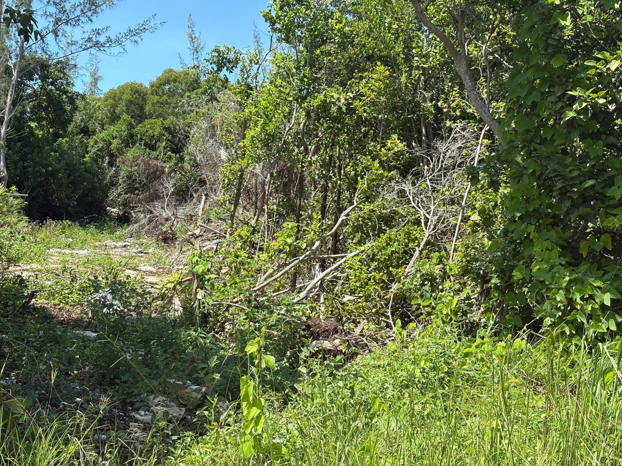 OFF ADELAIDE BEACH ROAD
