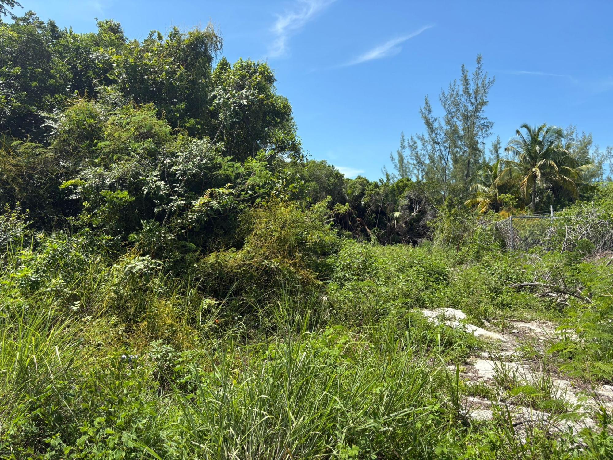 OFF ADELAIDE BEACH ROAD