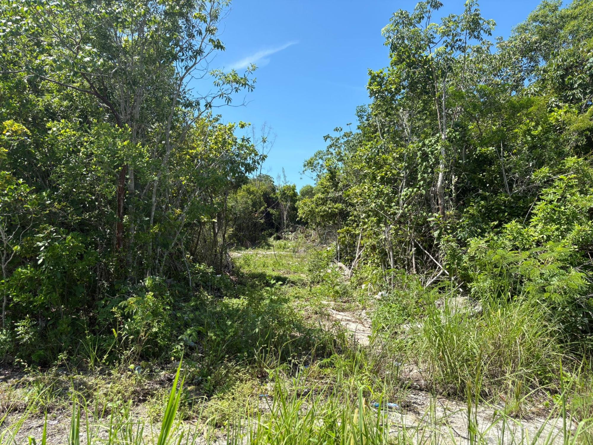 OFF ADELAIDE BEACH ROAD