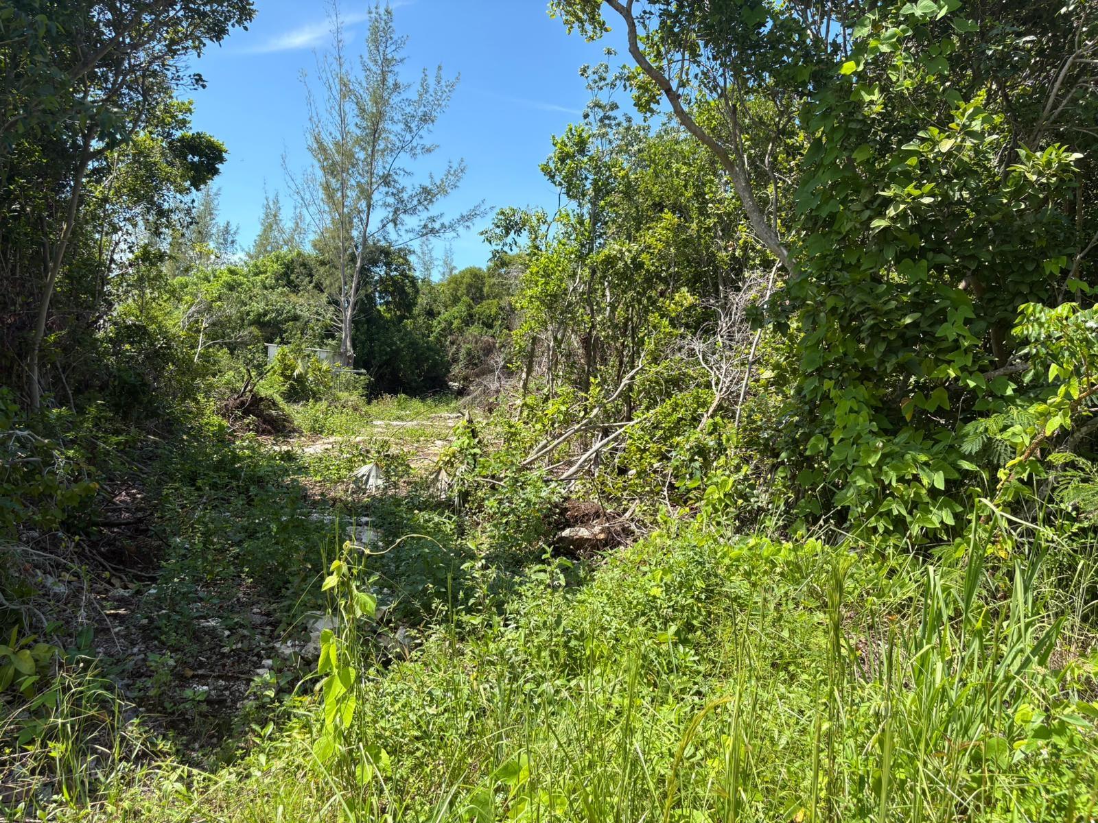 OFF ADELAIDE BEACH ROAD
