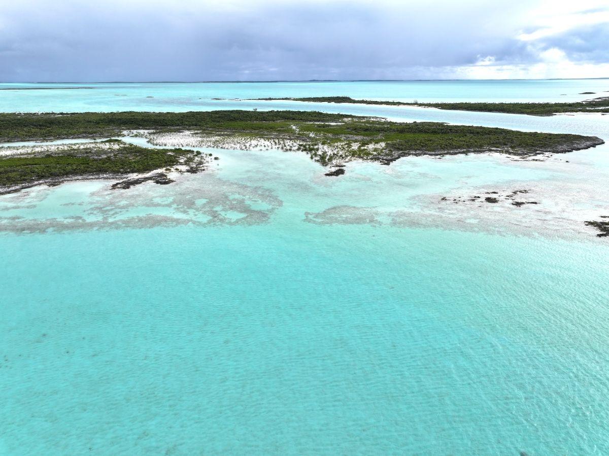 GOLD RING CAY