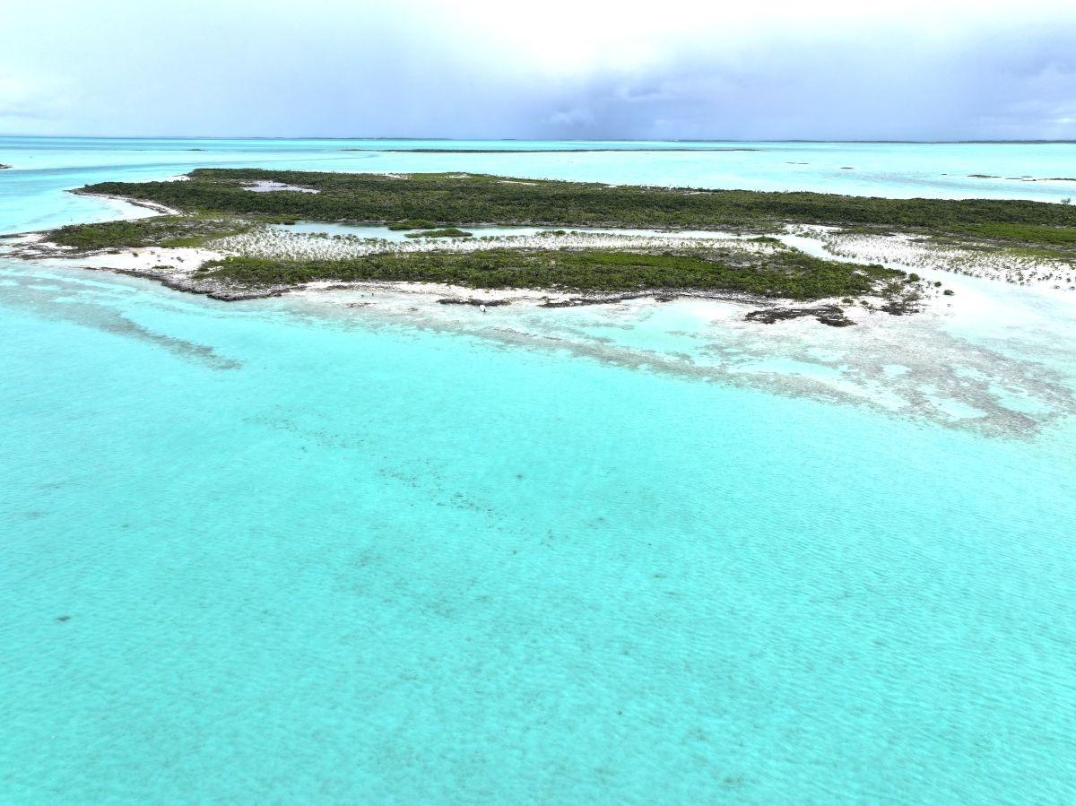 GOLD RING CAY