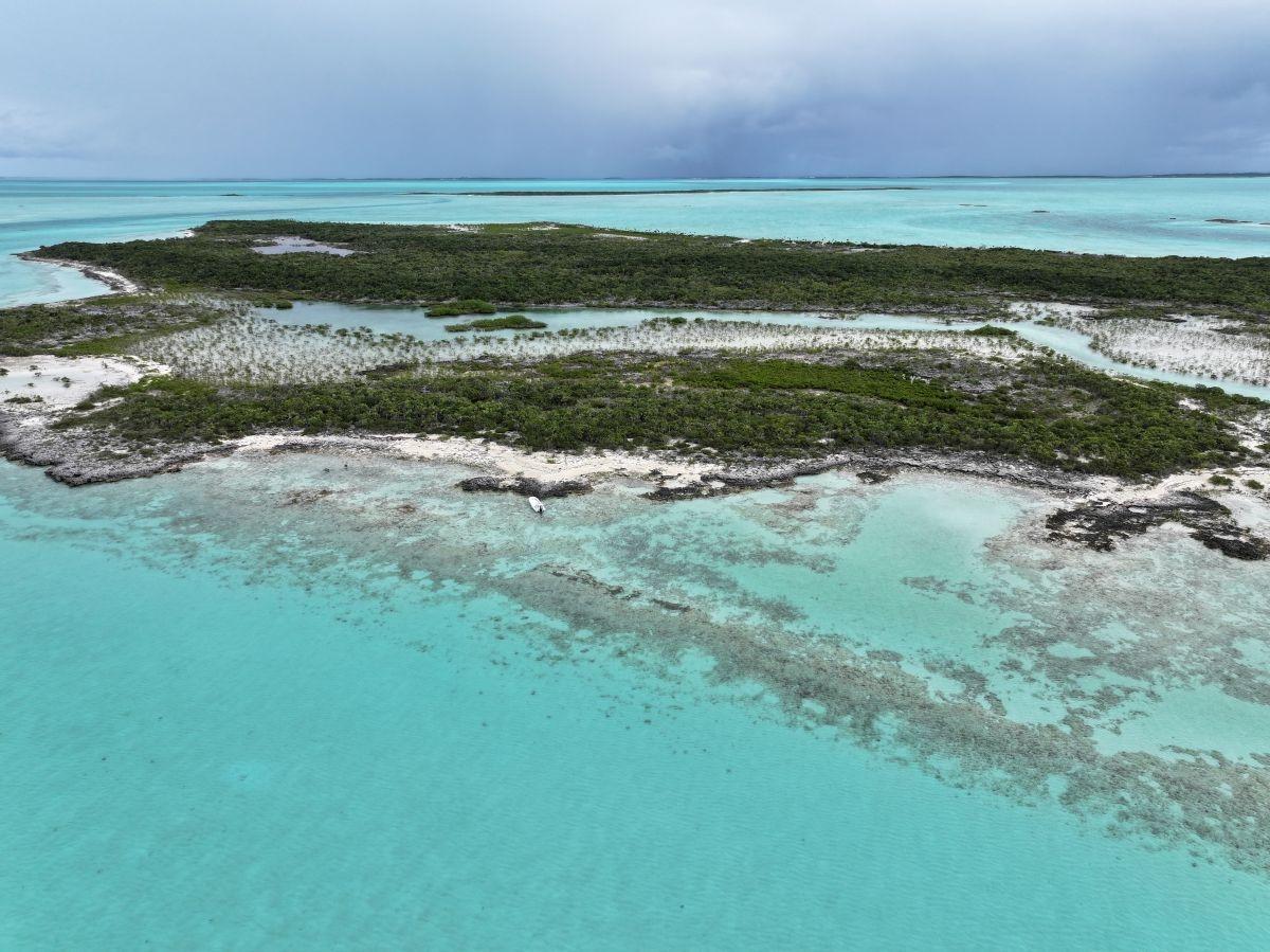 GOLD RING CAY
