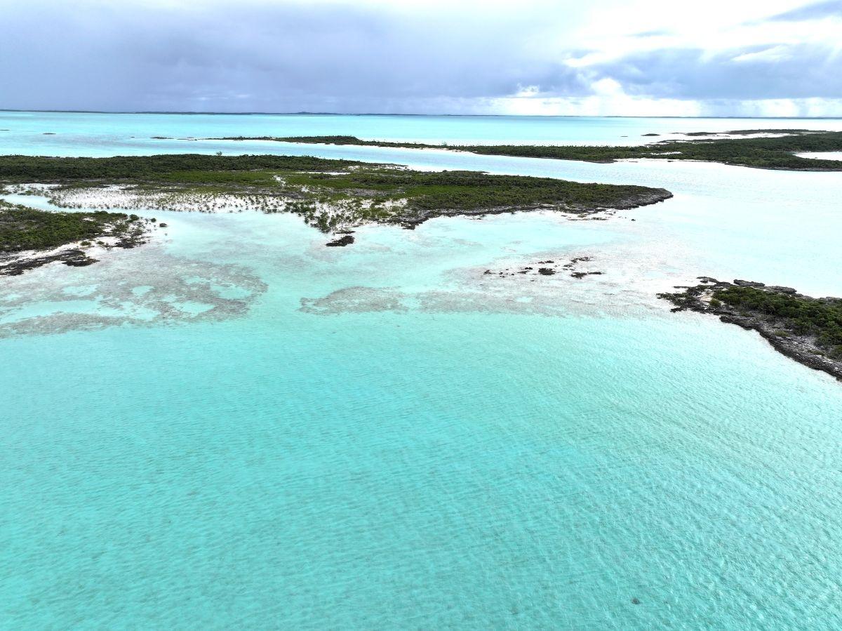 GOLD RING CAY