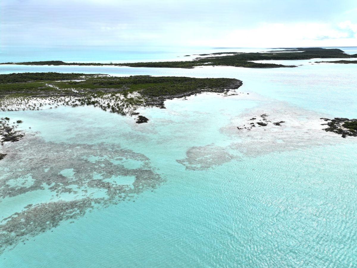 GOLD RING CAY