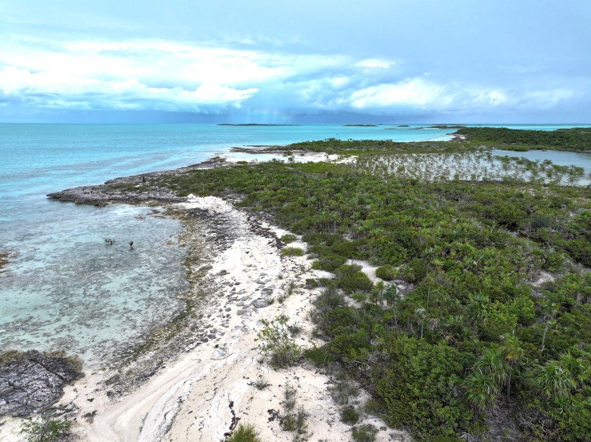 GOLD RING CAY