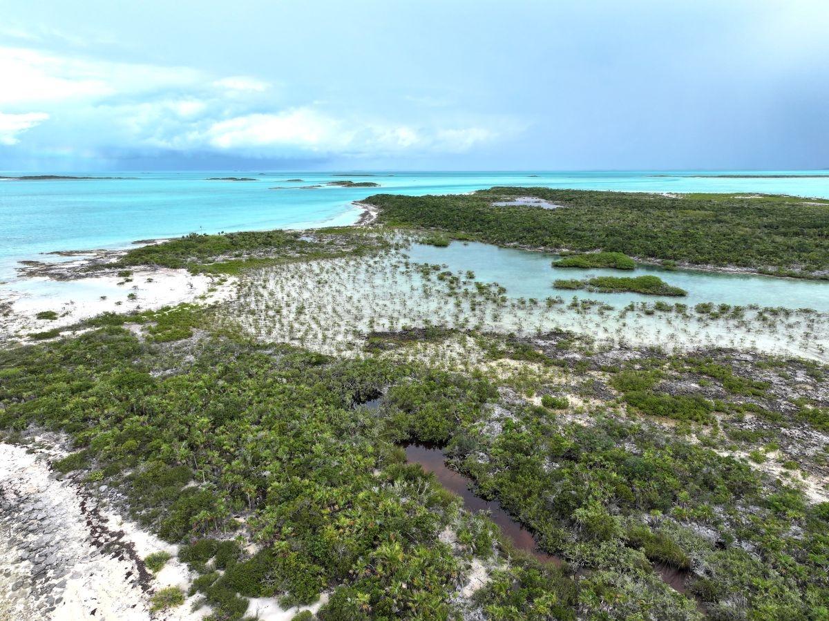 GOLD RING CAY