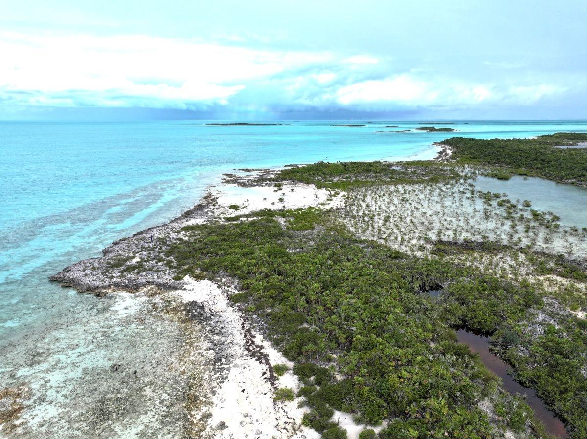 GOLD RING CAY