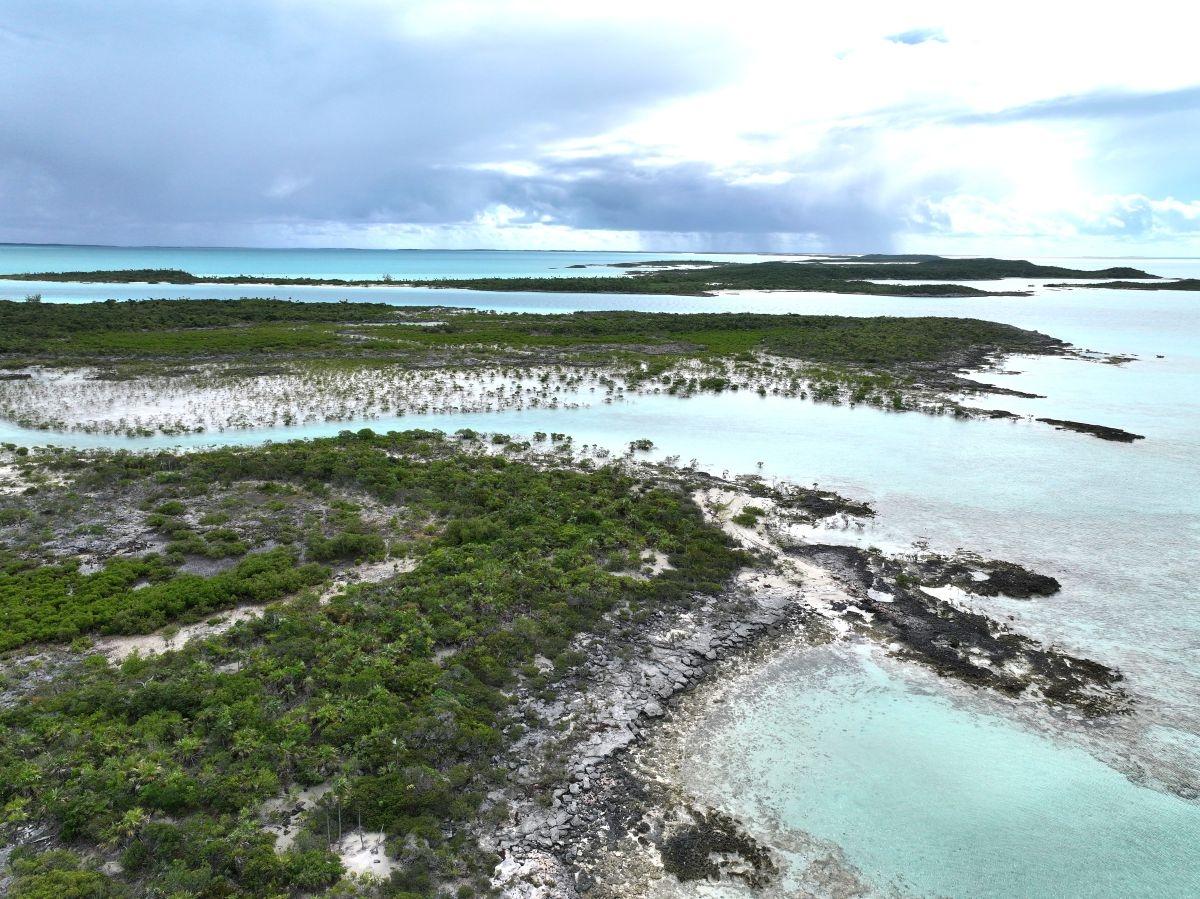 GOLD RING CAY