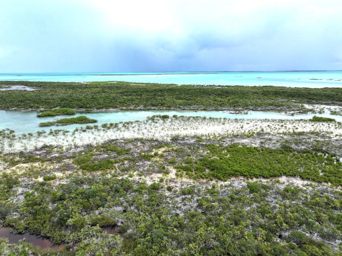 GOLD RING CAY