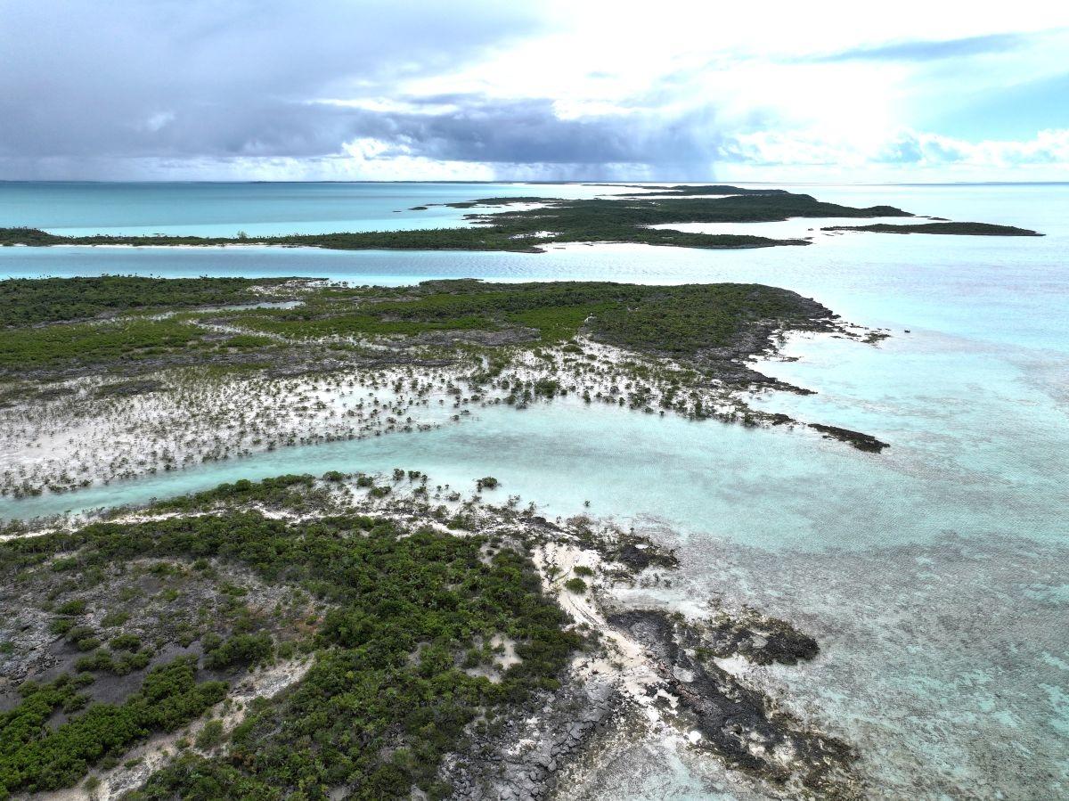 GOLD RING CAY
