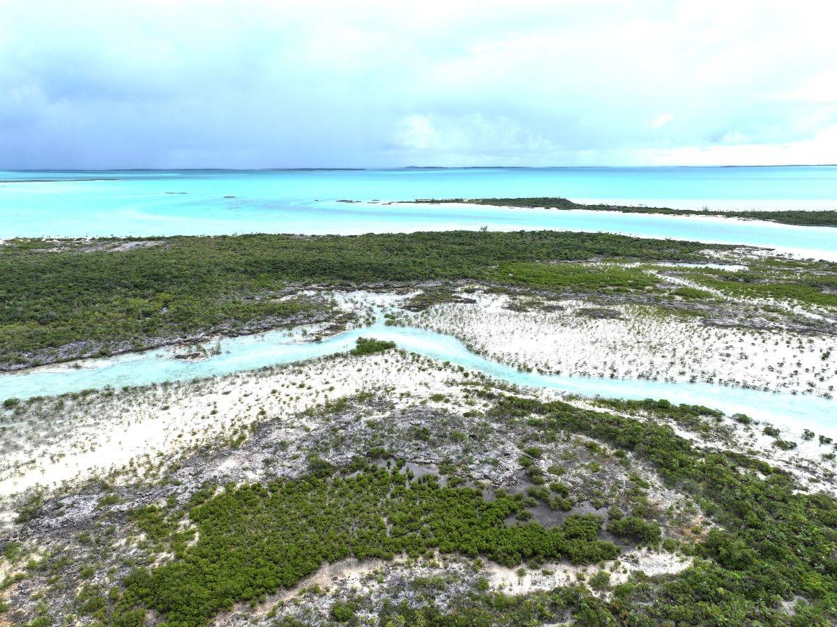 GOLD RING CAY