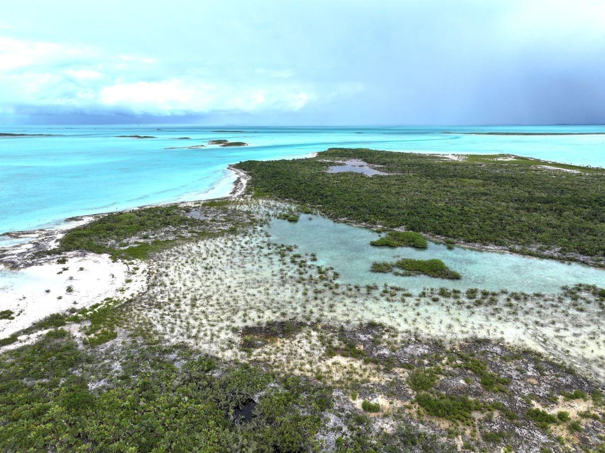 GOLD RING CAY