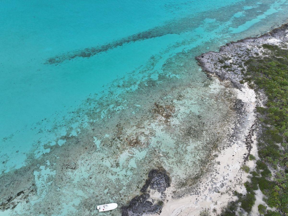 GOLD RING CAY