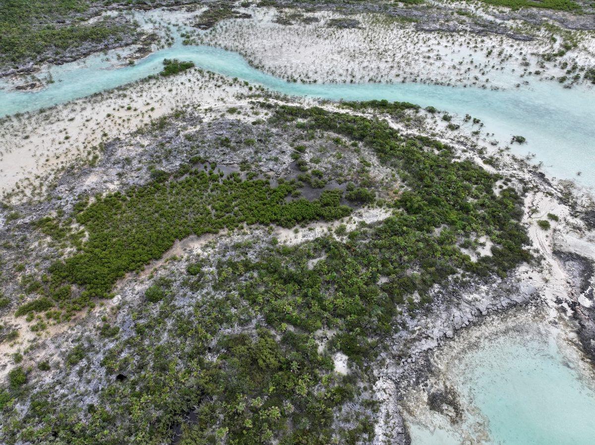 GOLD RING CAY