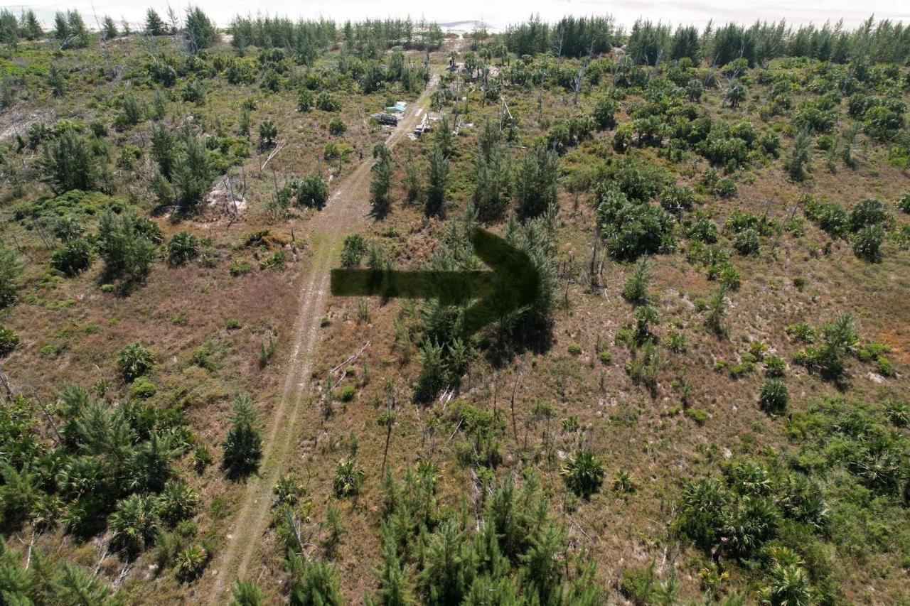 10 ACRES GRAND BAHAMA
