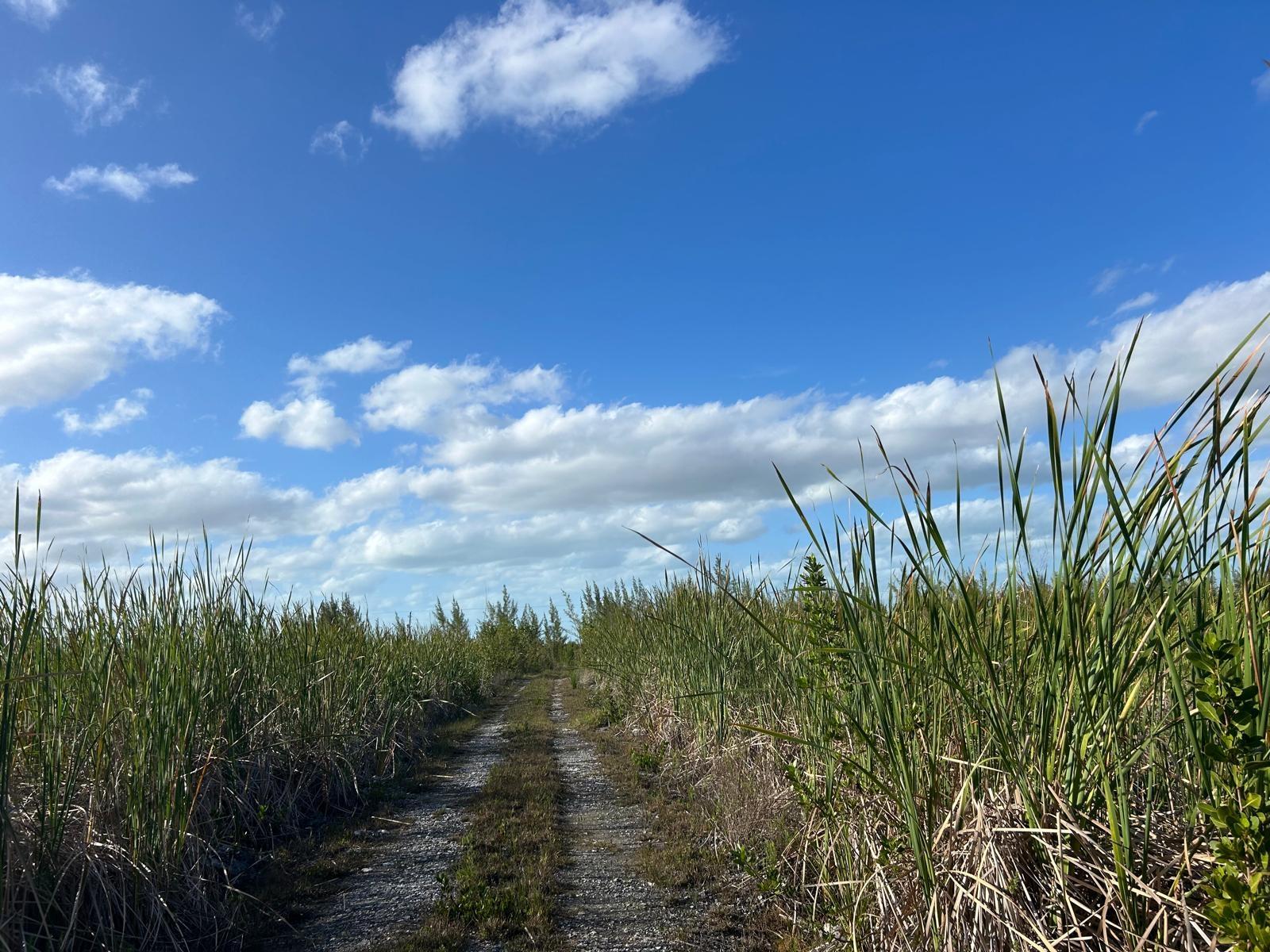 10 ACRES GRAND BAHAMA