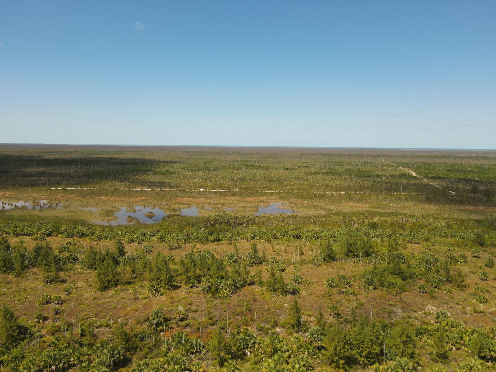 10 ACRES GRAND BAHAMA