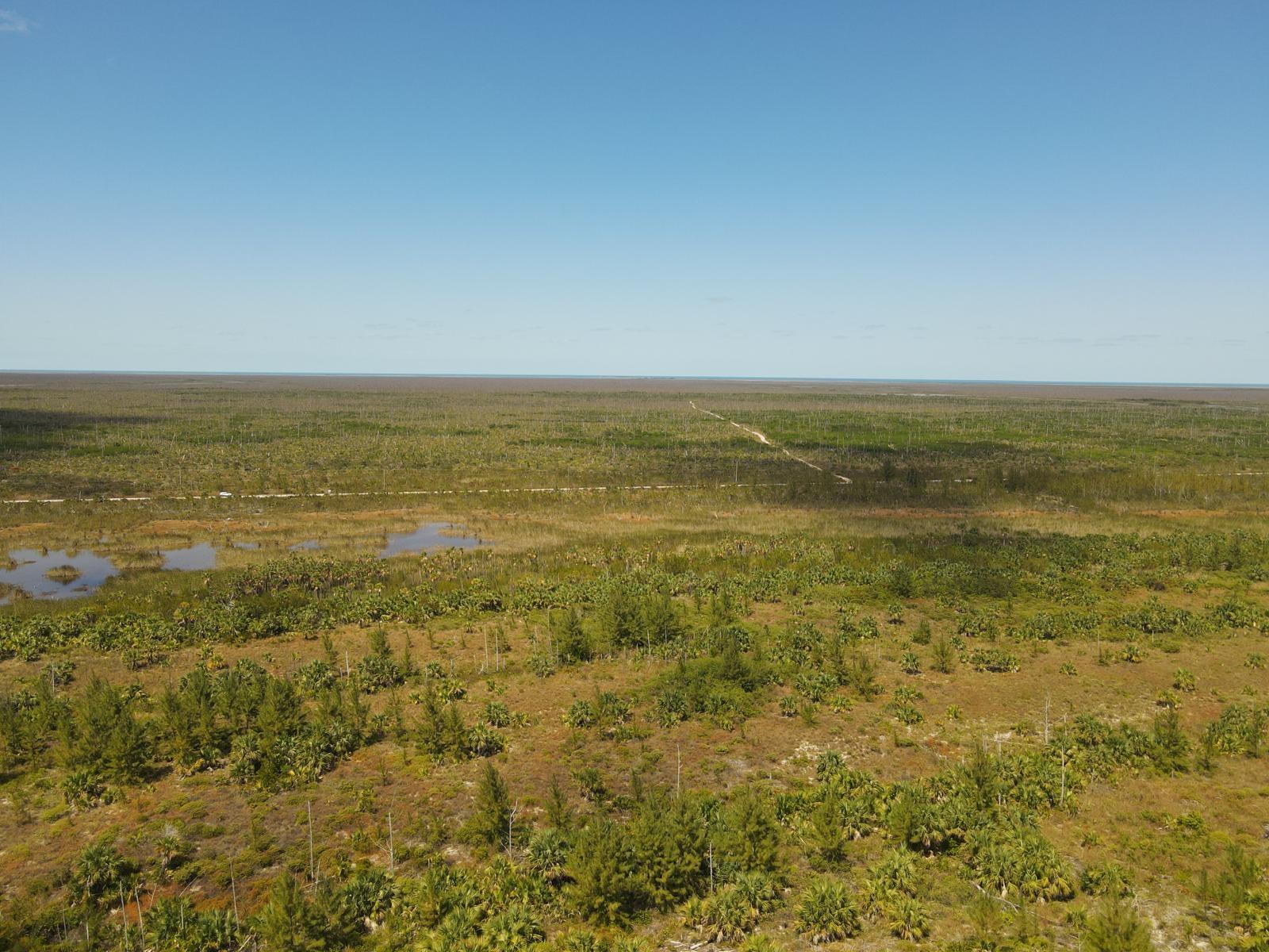 10 ACRES GRAND BAHAMA