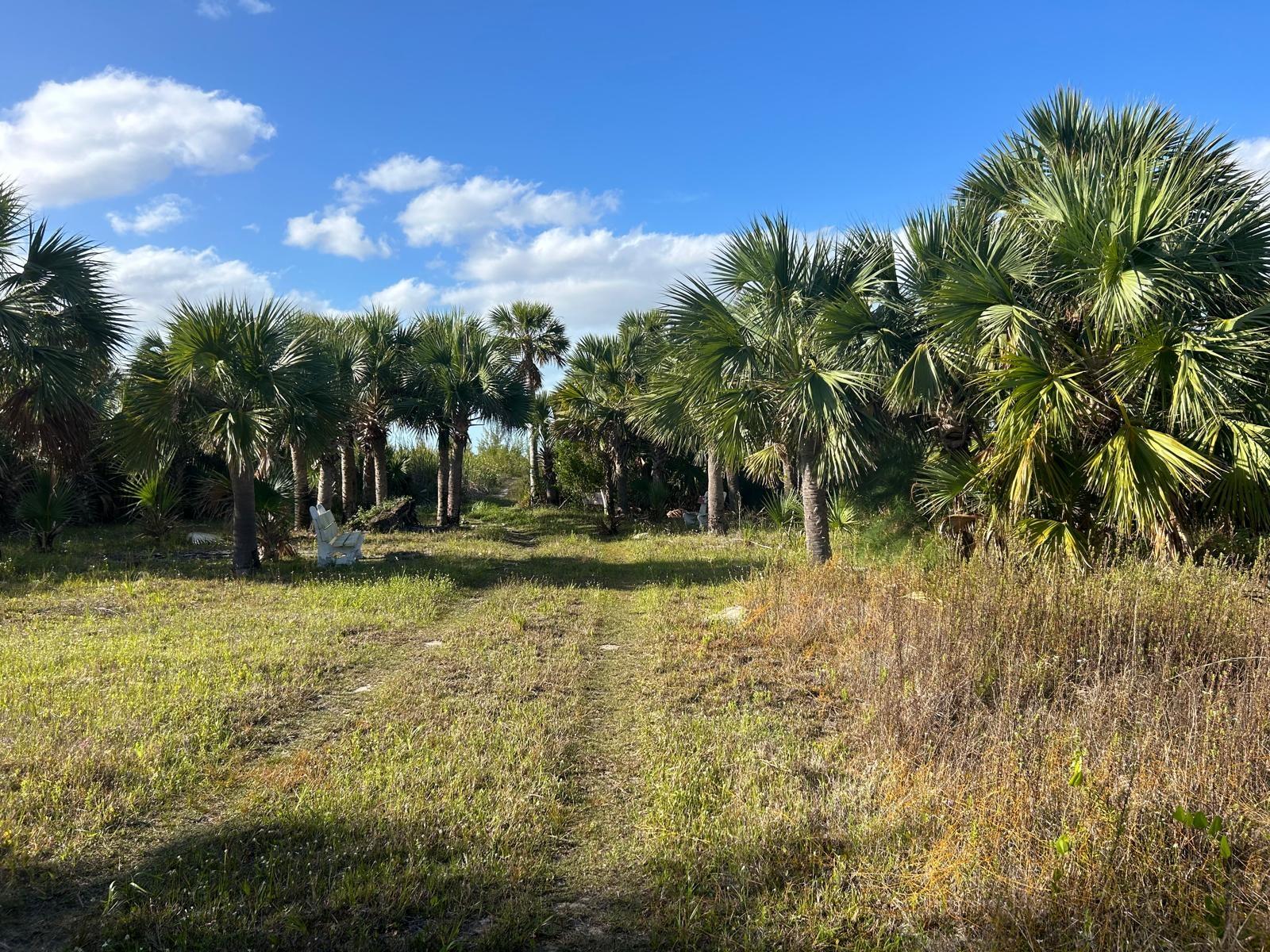 10 ACRES GRAND BAHAMA