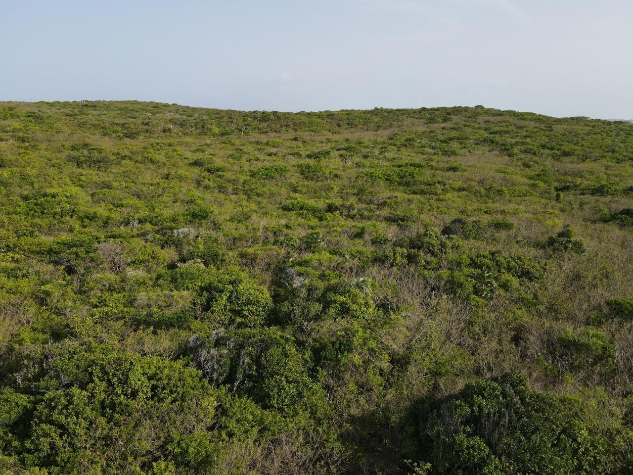 28.45ACRES DOCTOR'S CREEK