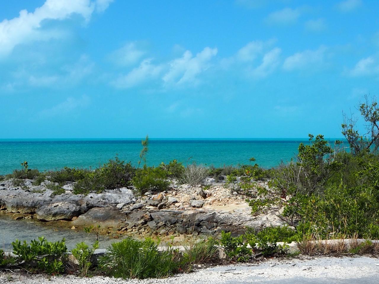 28.45ACRES DOCTOR'S CREEK