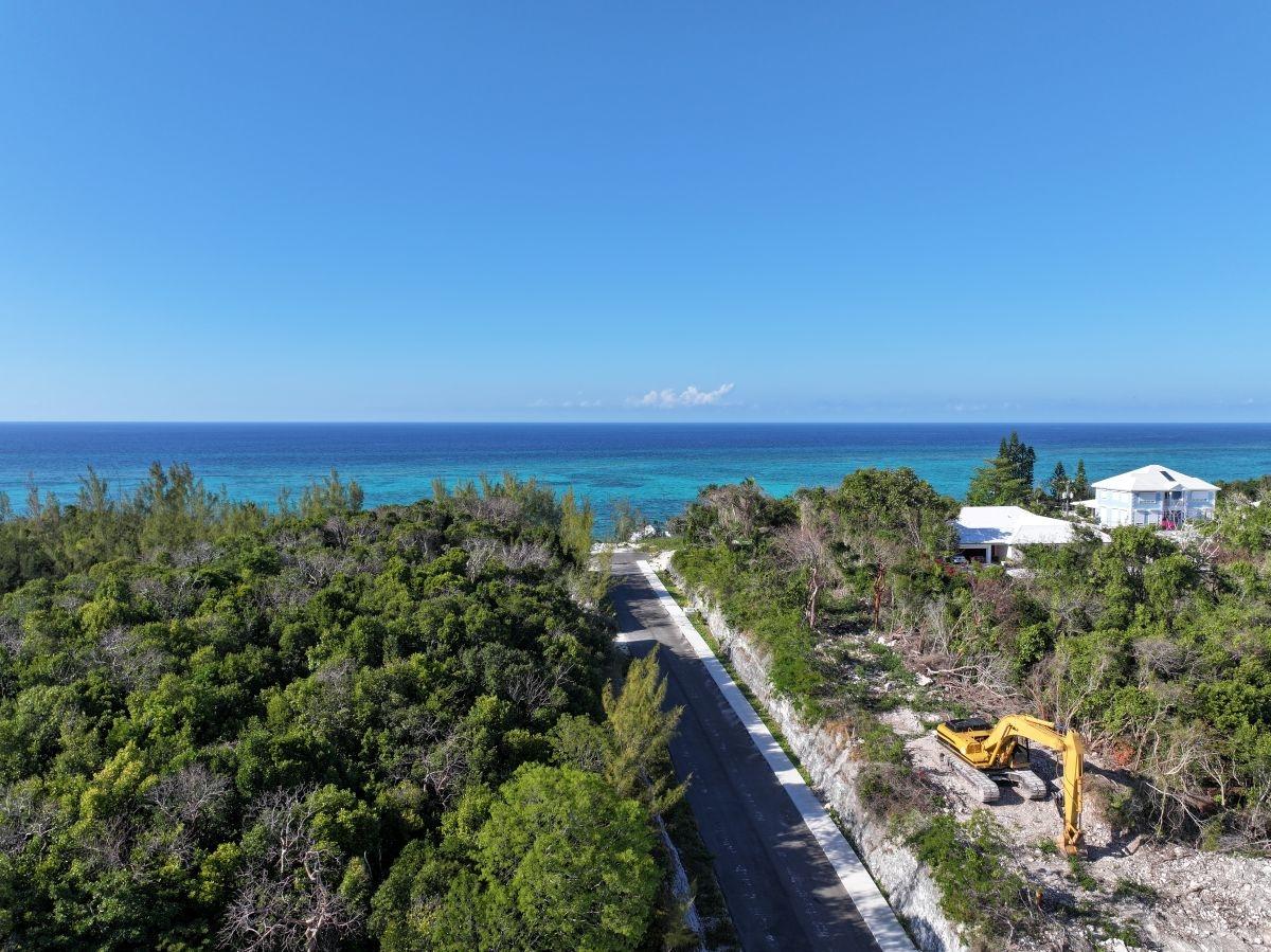 TROPICAL GARDENS OLYMPIC Unit: #1