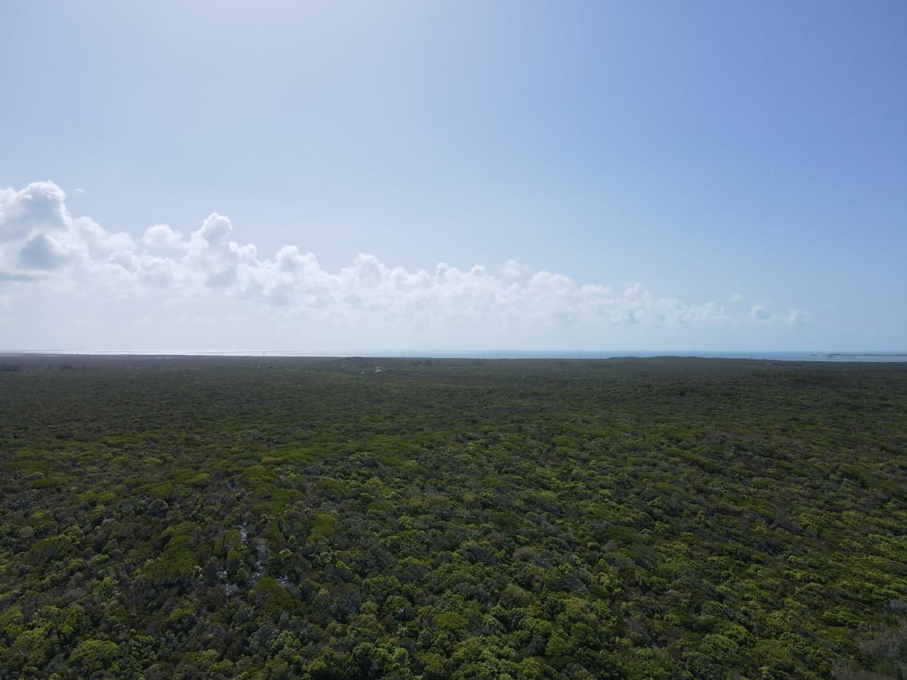 120 ACRES DOCTOR'S CREEK