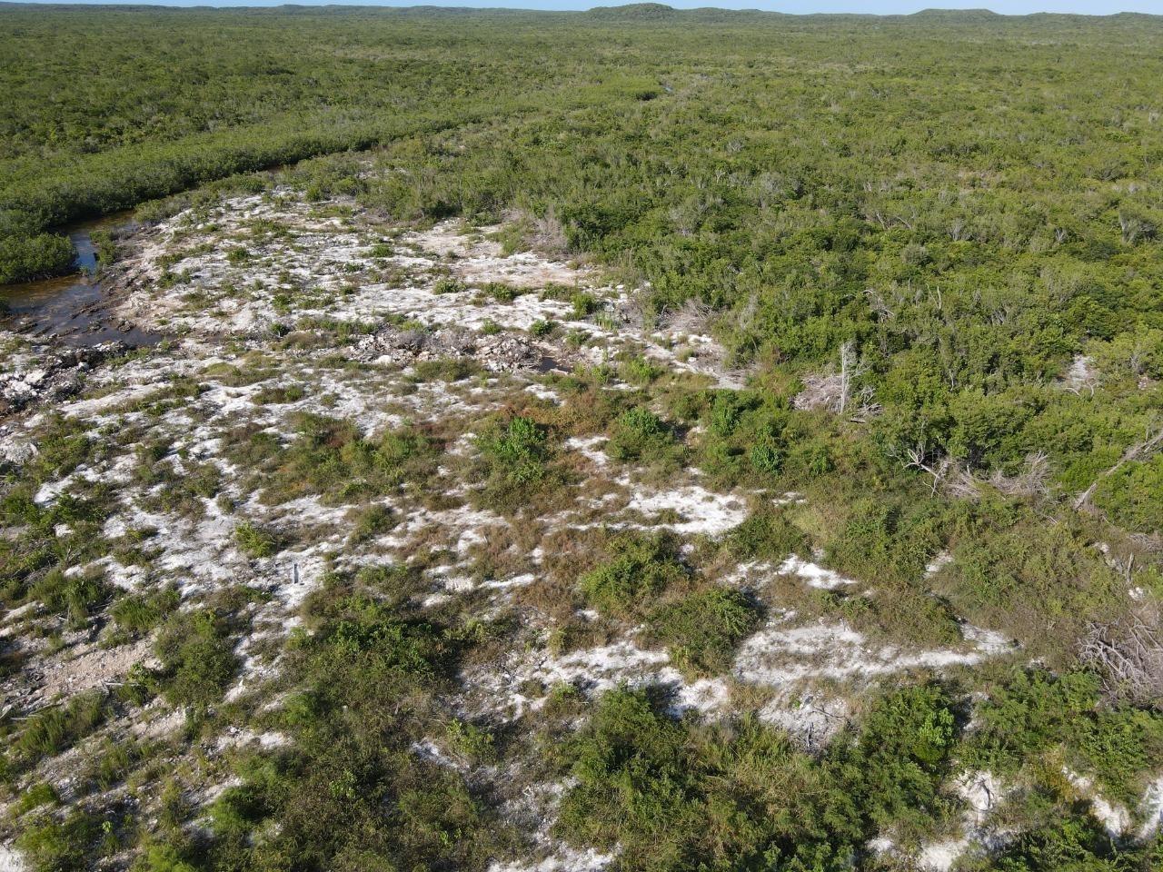 6 ACRES DOCTOR'S CREEK