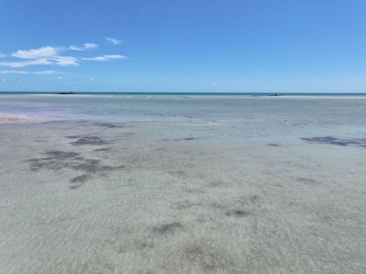 SOUTH SEAS Unit: Lot 199