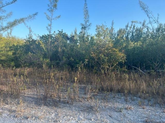 SOUTH SEAS Unit: Lot 199