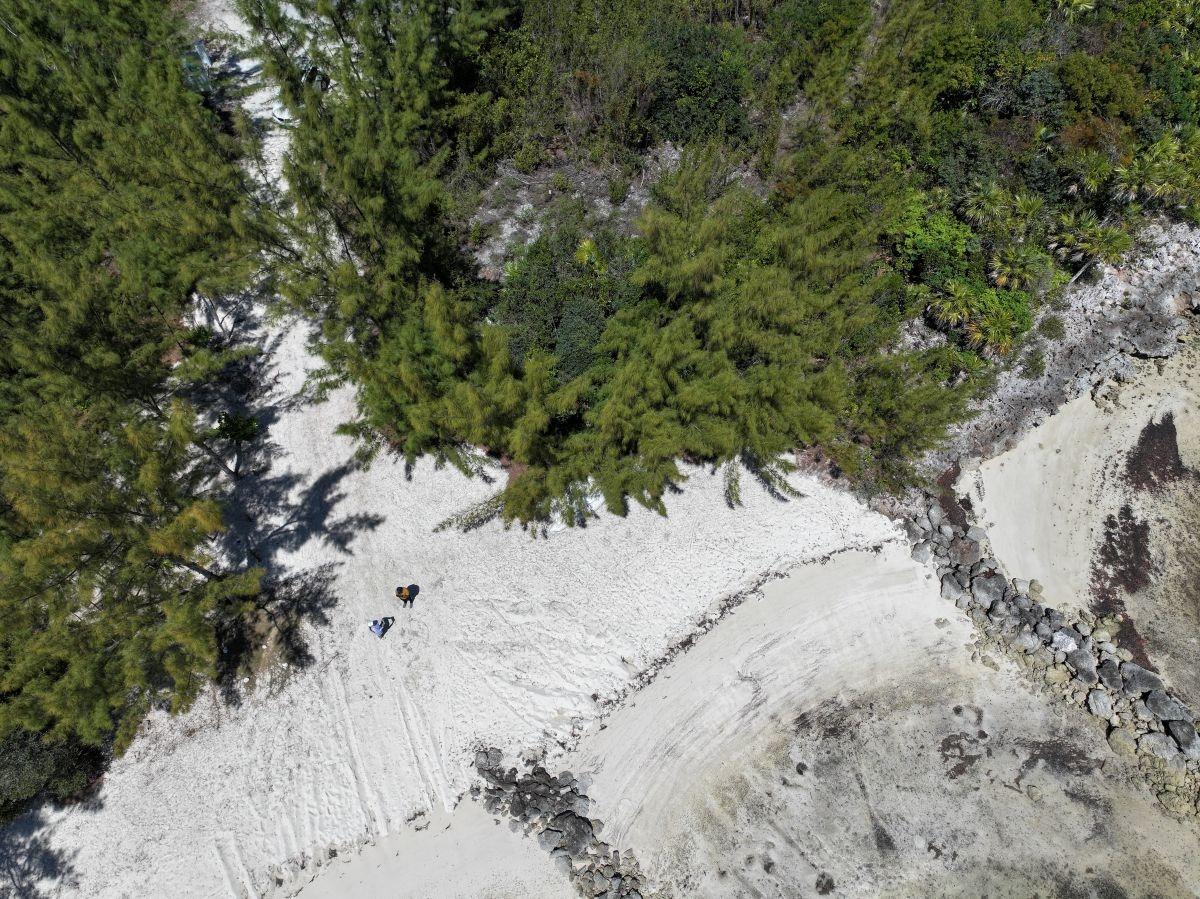 SOUTH SEAS Unit: Lot 199