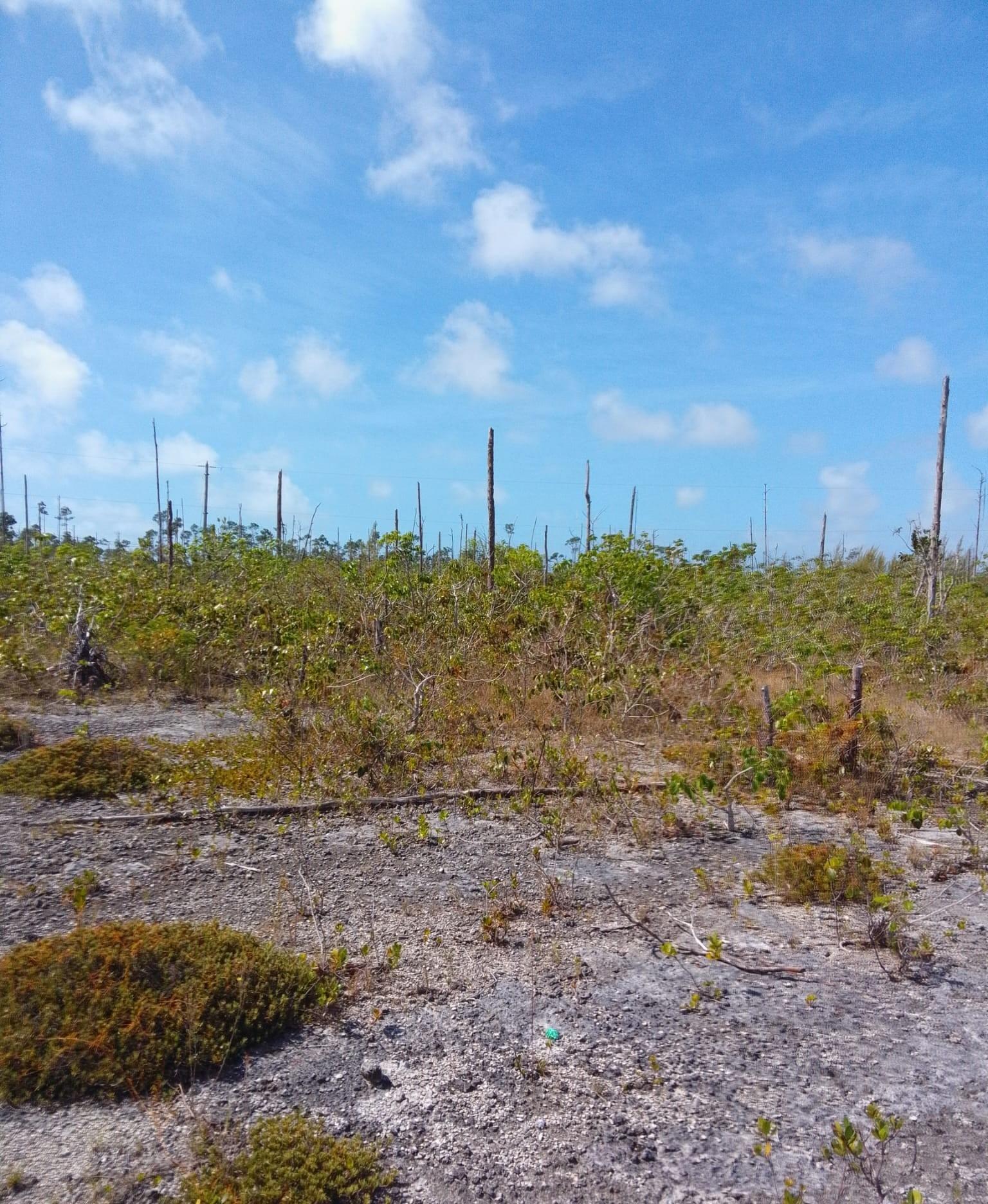 BRISTOL BAY SUBDIVISION Unit: U1B1L5