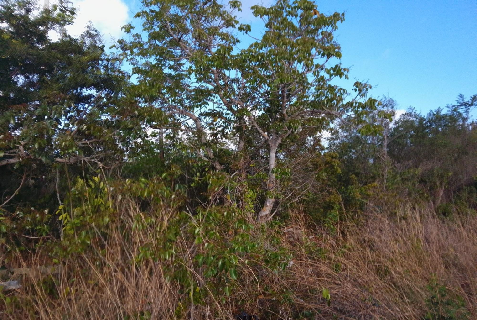 BRISTOL BAY SUBDIVISION Unit: U1B1L5