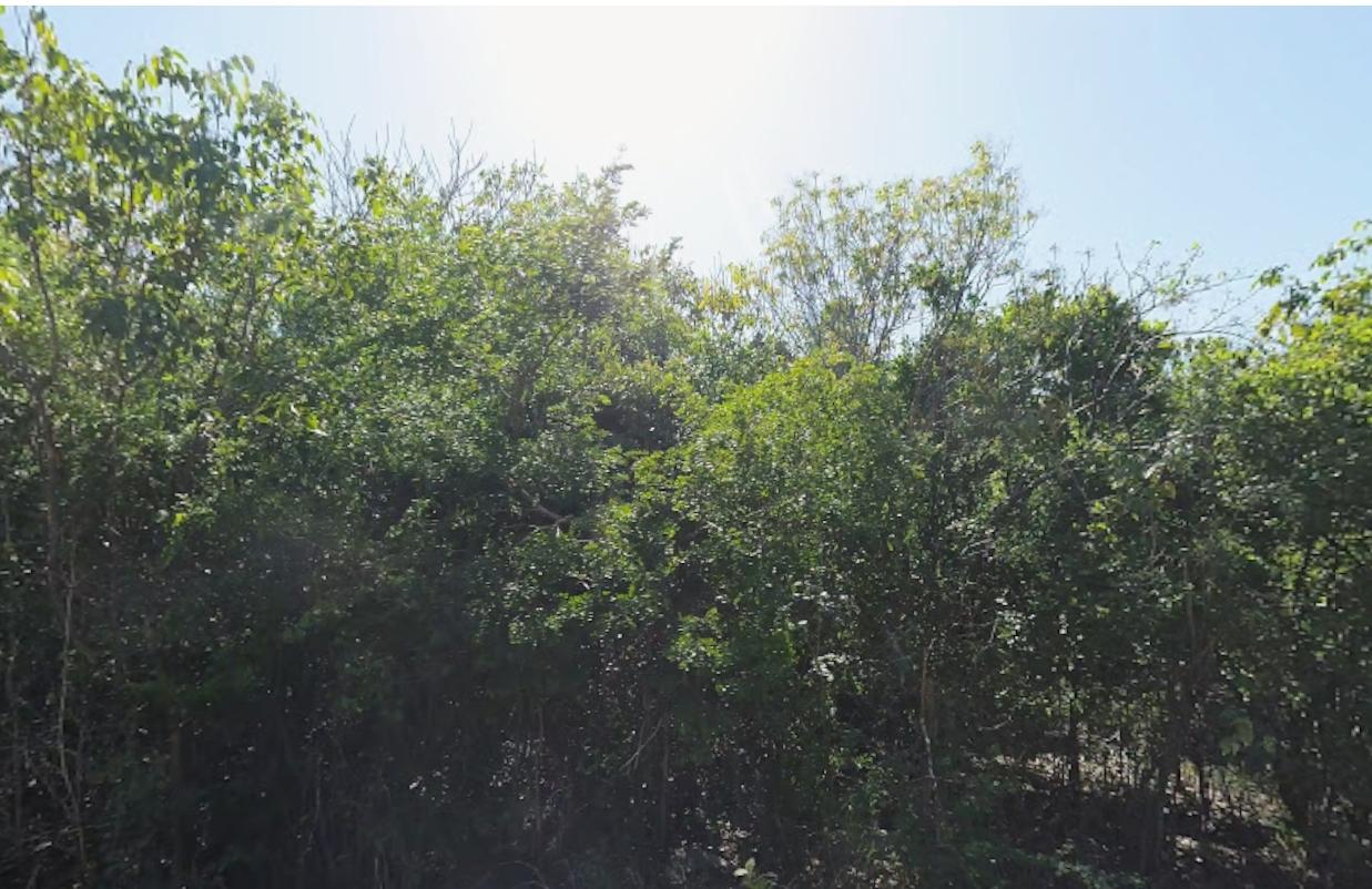 Lot 6922 BAHAMA SOUND EXUMA