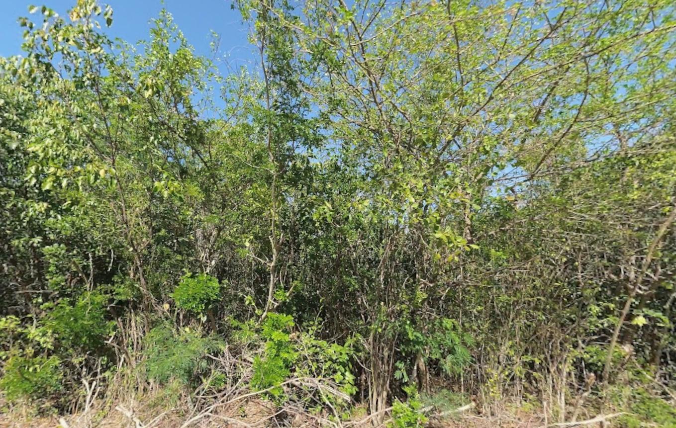 Lot 6971 BAHAMA SOUND EXUMA