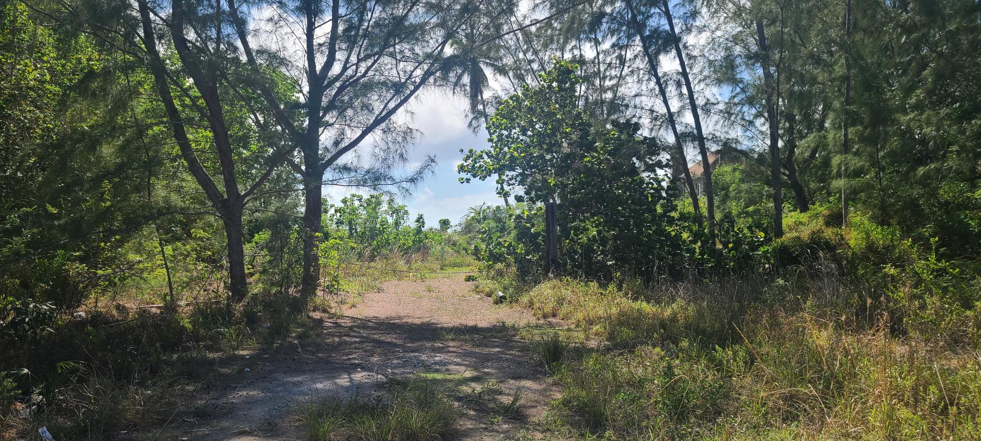 Lot # 2 QUEENS HIGHWAY, GOVERNORS