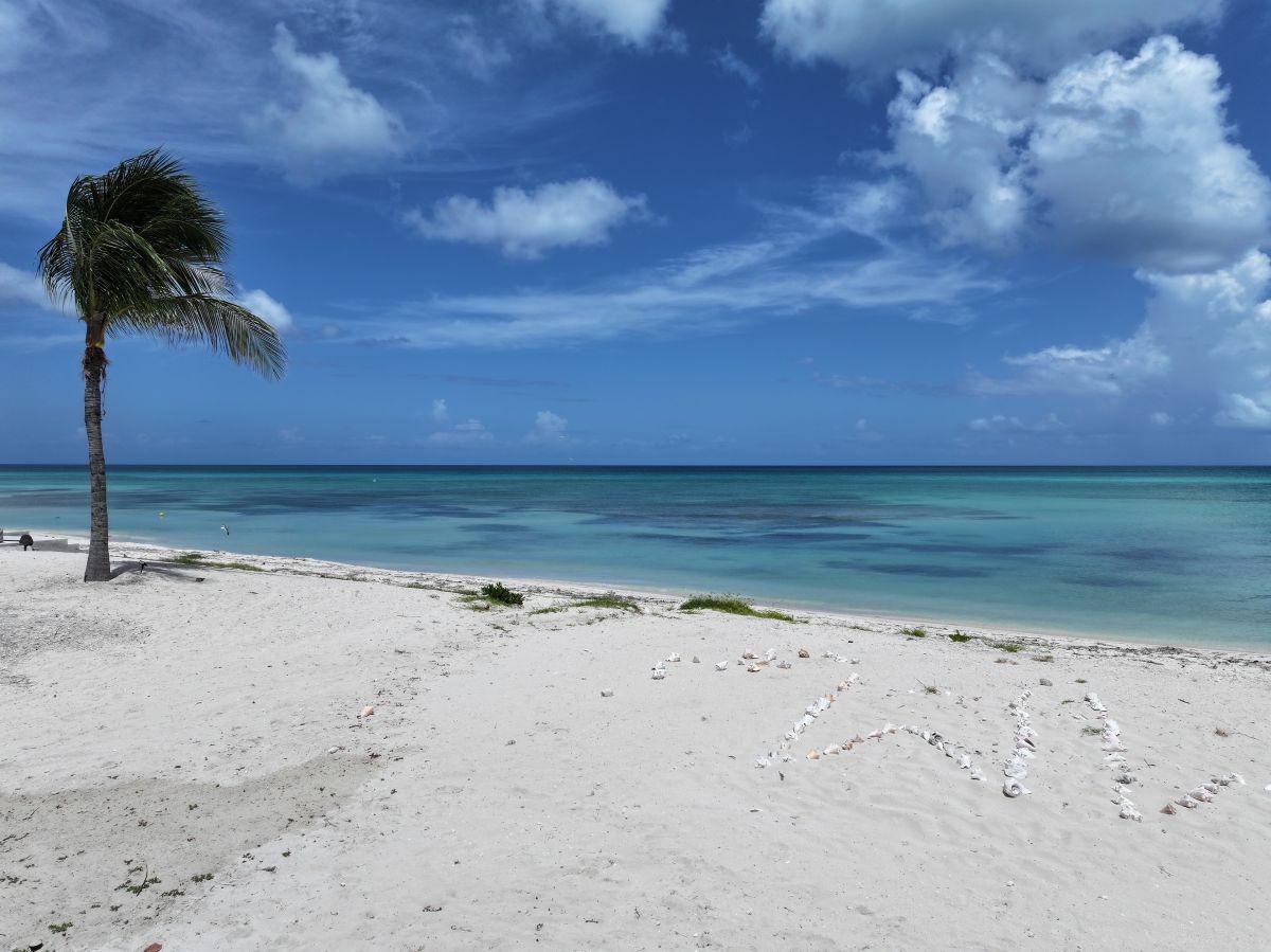 2404 ROCKWELL ISLAND Unit: 2404