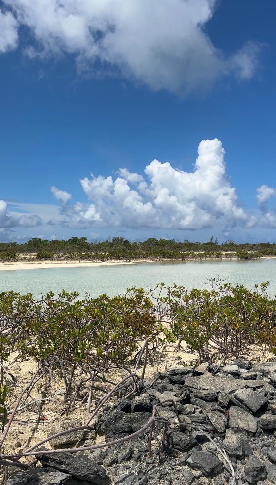 LERU. / LERAUX CAY