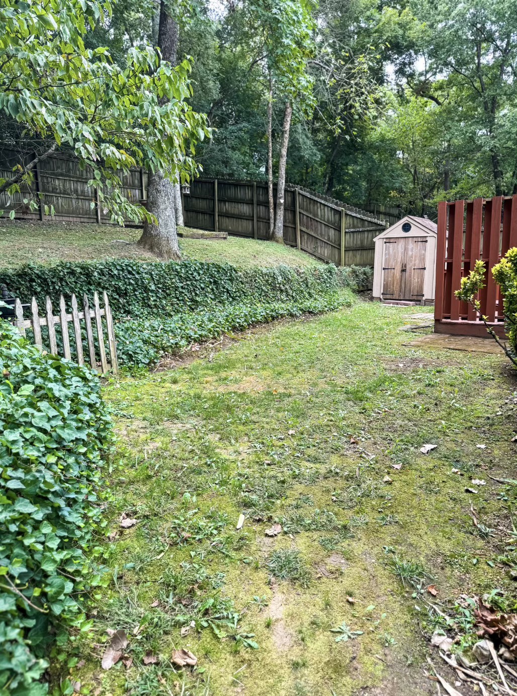 1153 Jacksons View Rd