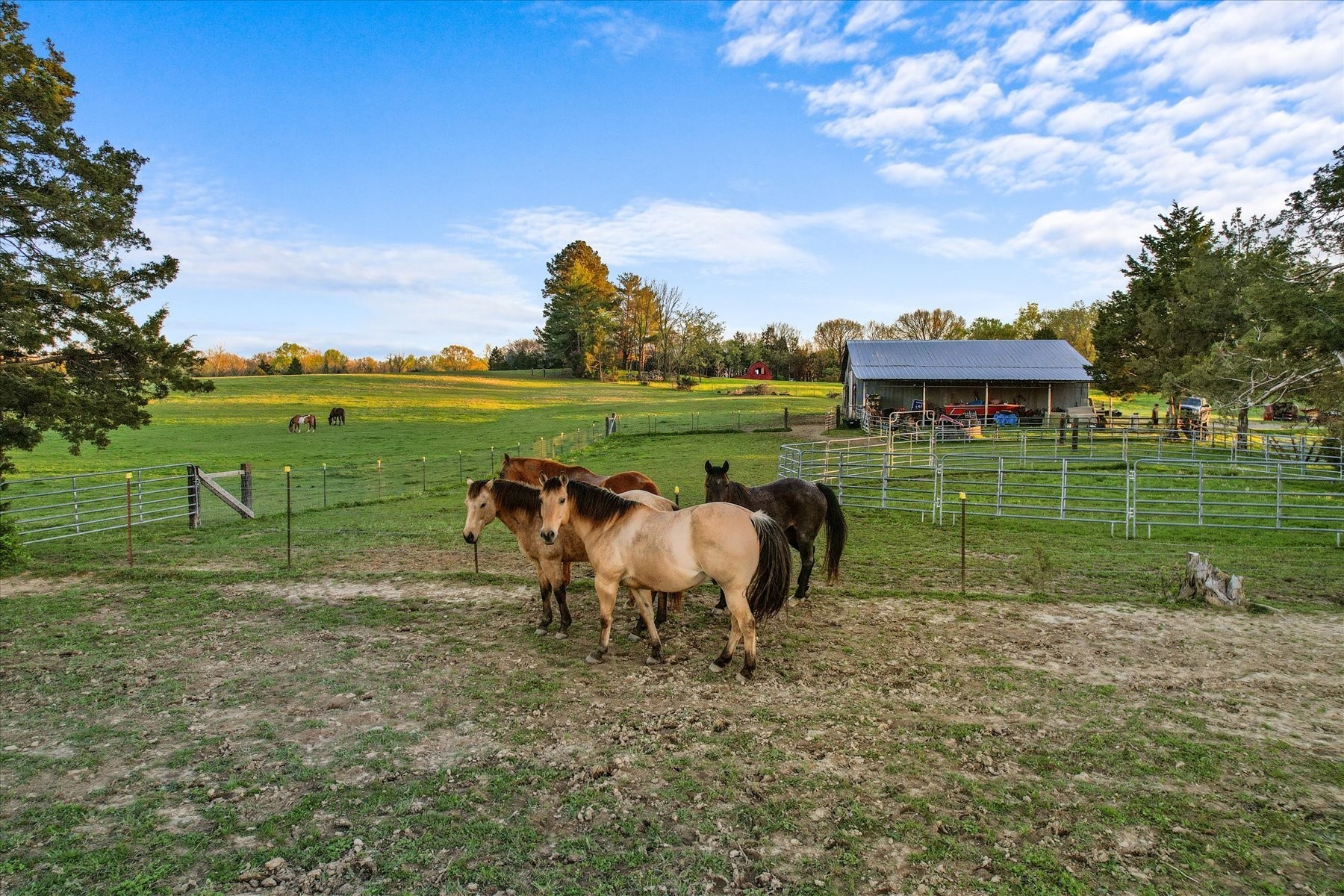 1661 Martha Leeville Rd