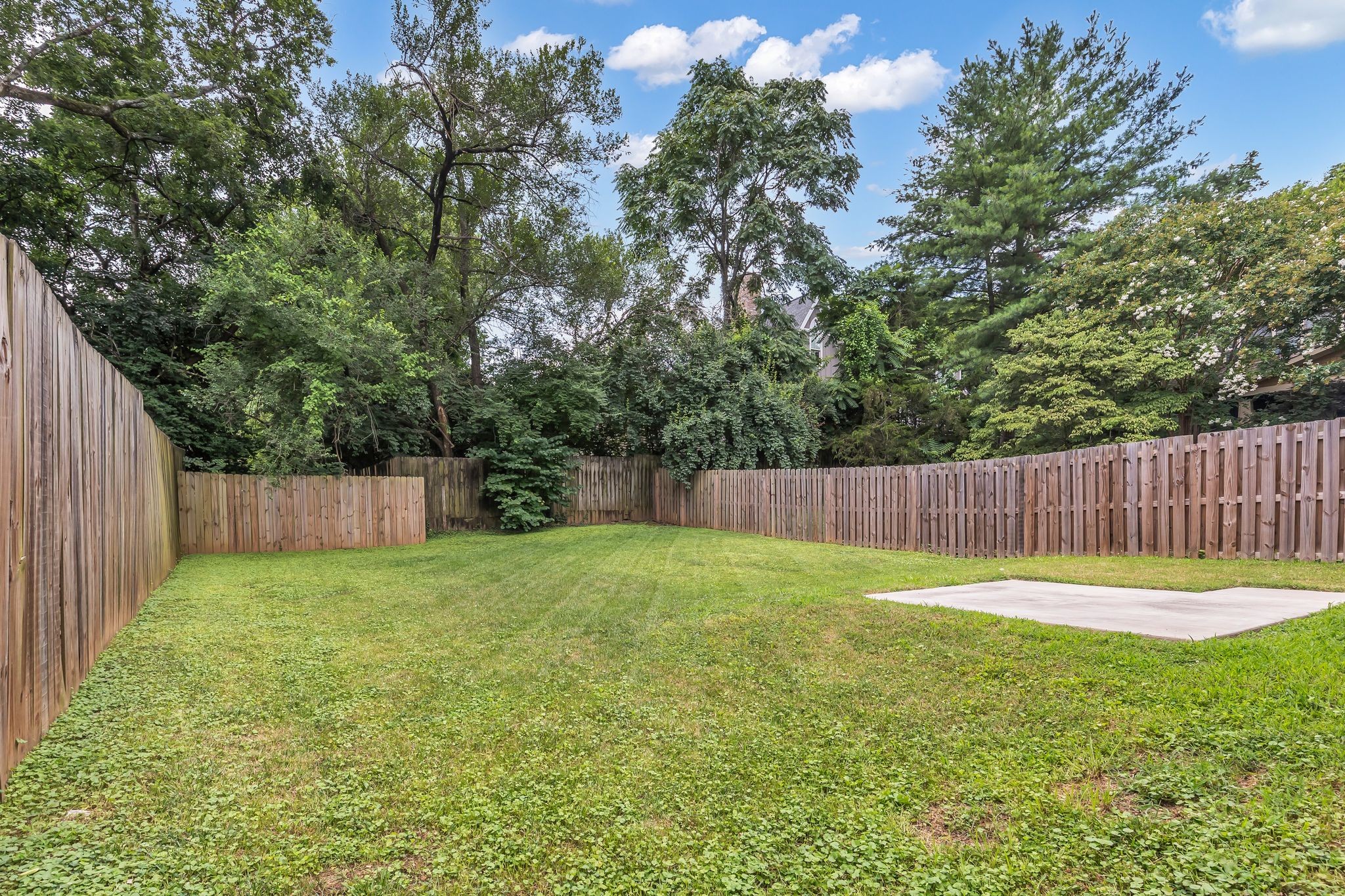 1541A Battlefield Dr