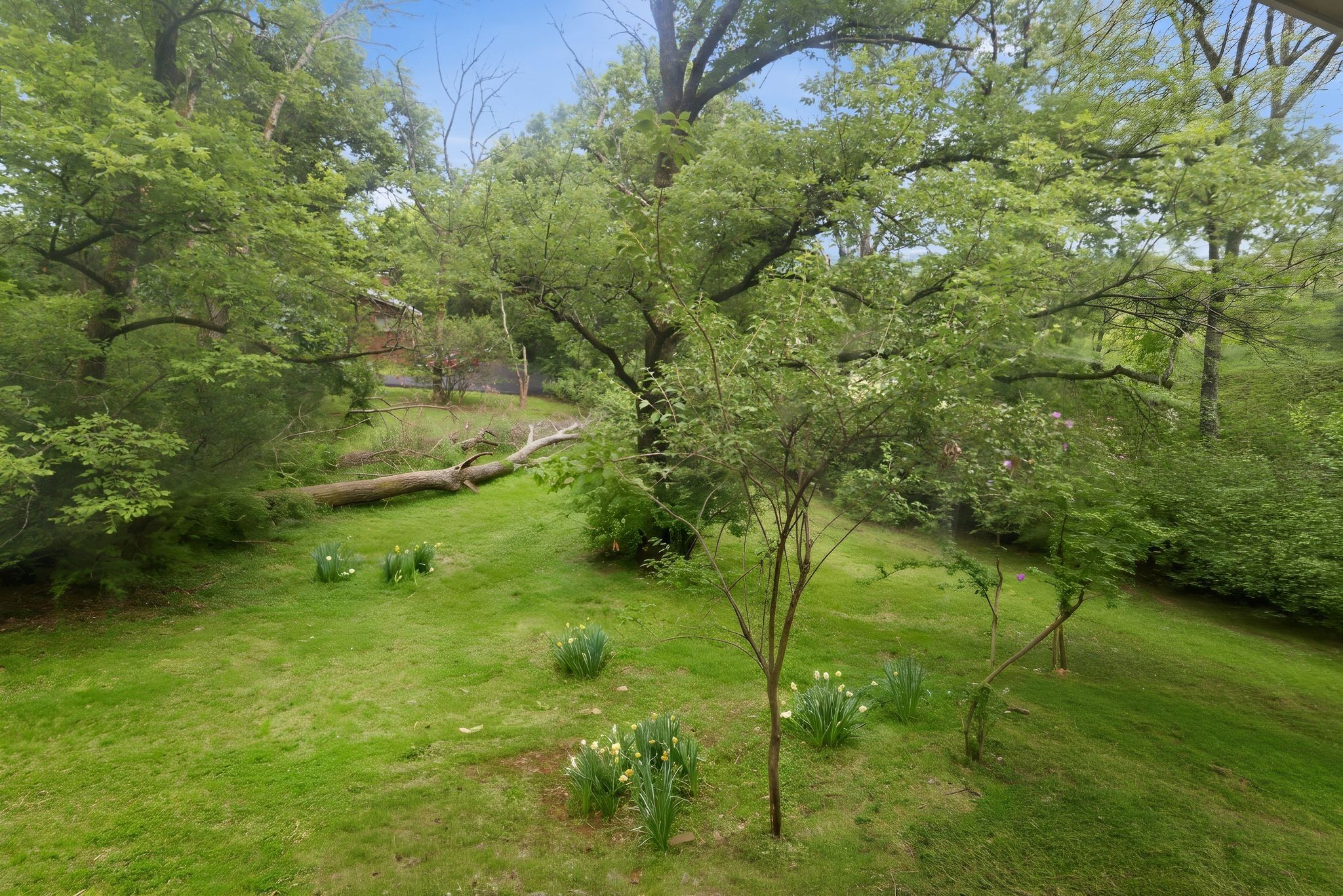 827 Redwood Dr