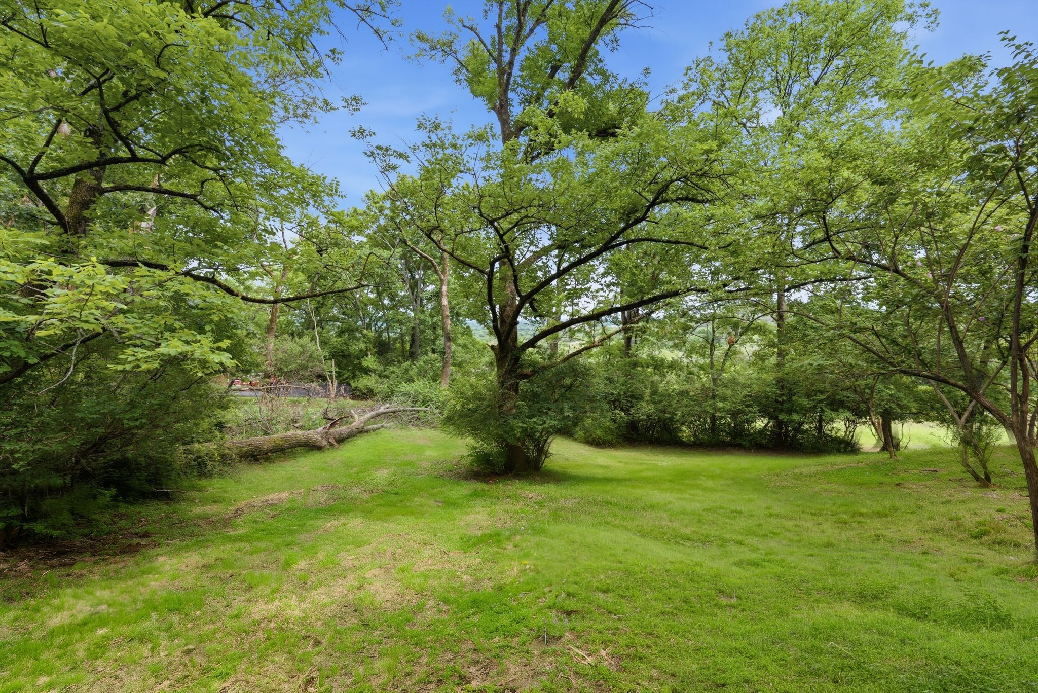 827 Redwood Dr