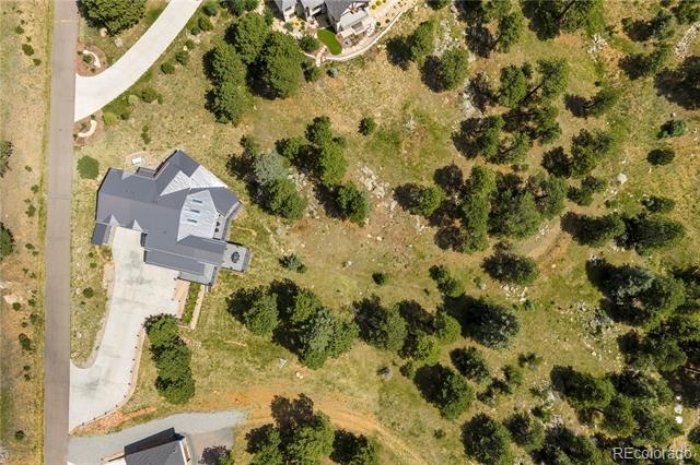 980 Twisted Pine Road