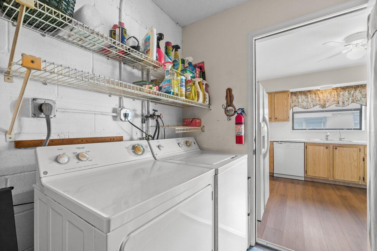 9835 Loquat Tree Run B