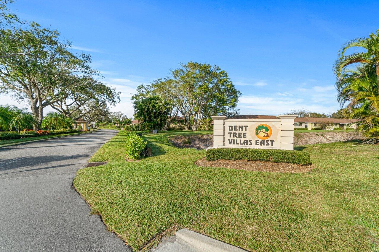 9835 Loquat Tree Run B