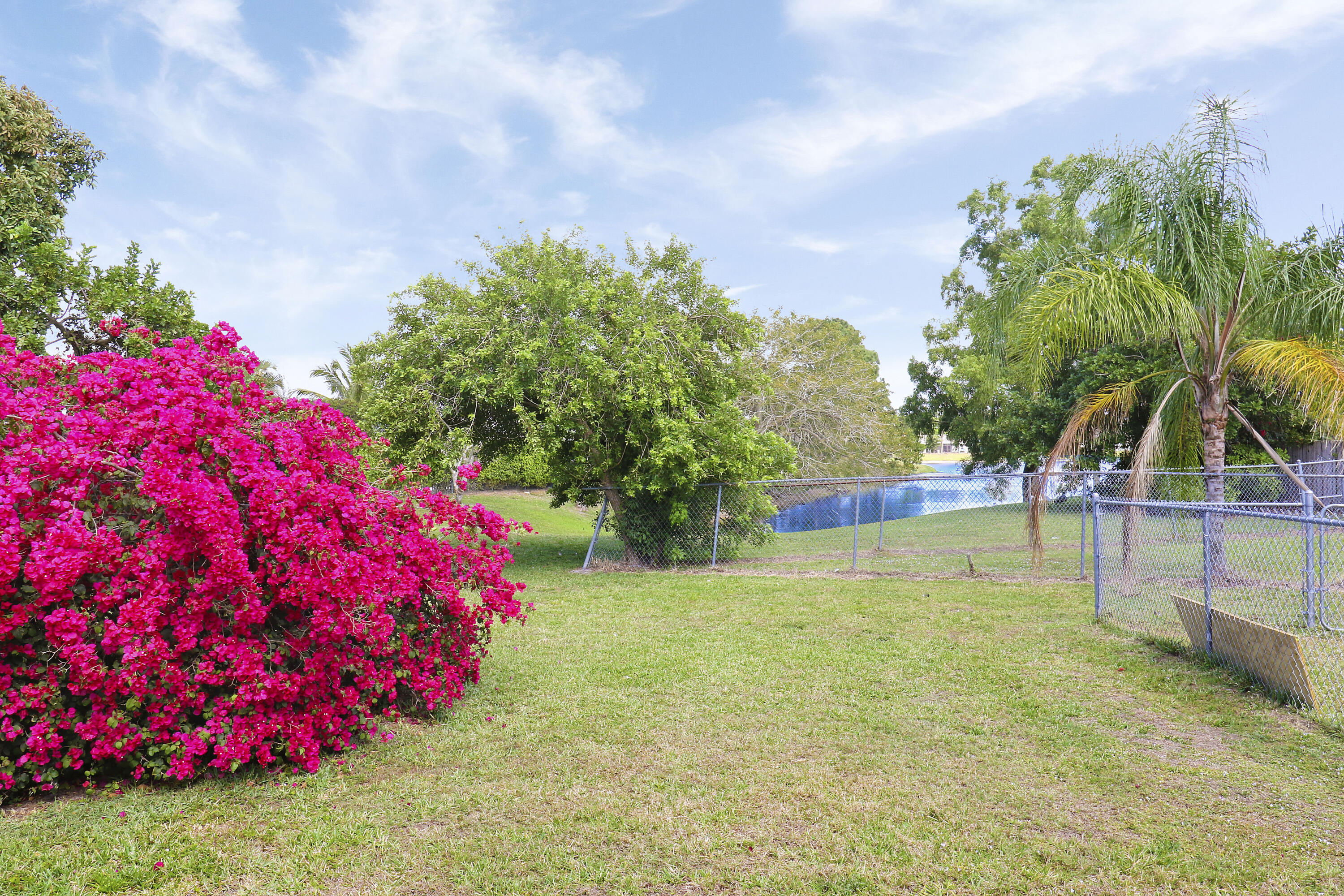 216 Palmetto Court
