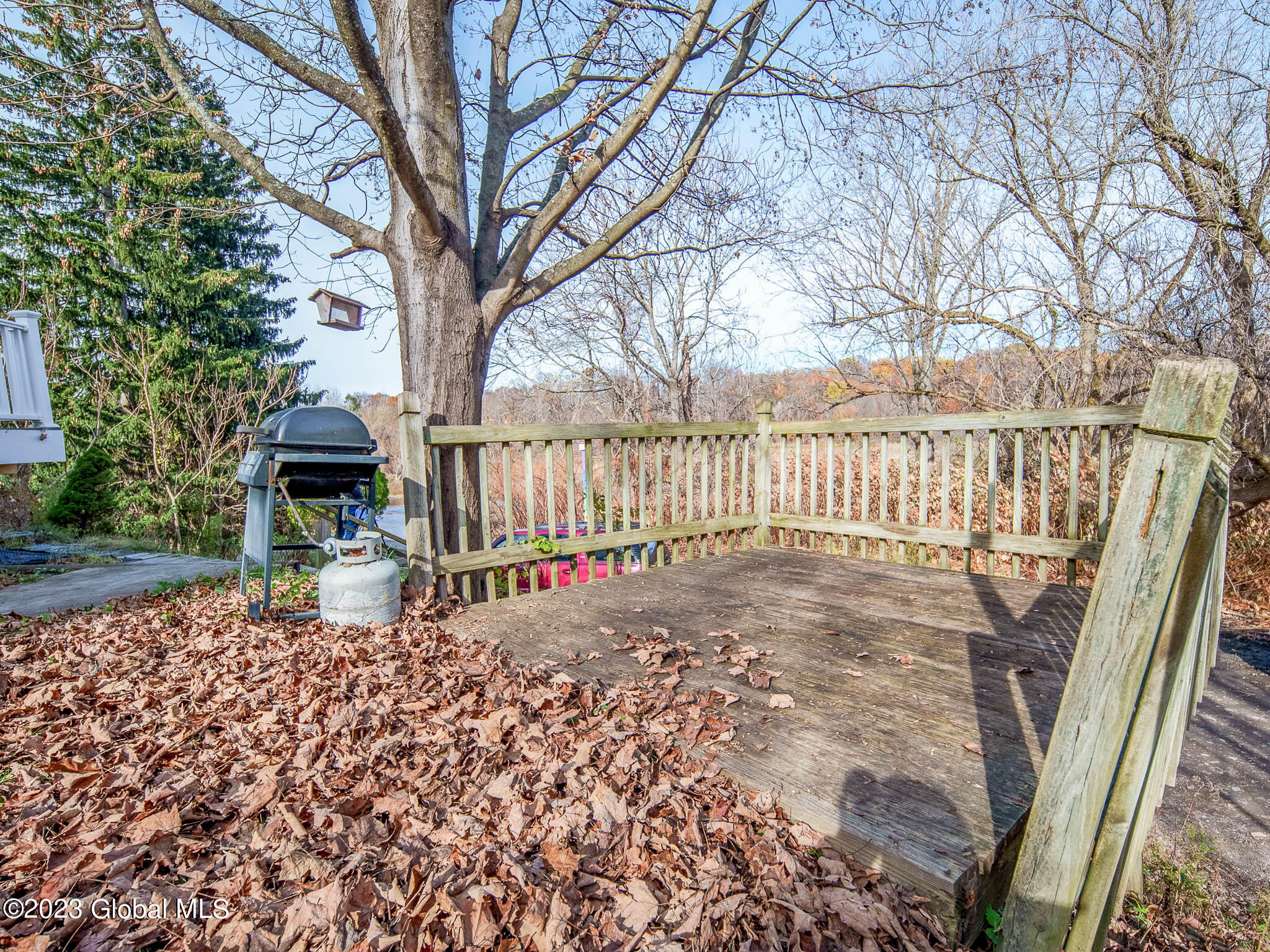 39 Campbell Avenue